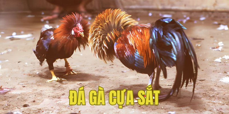 Banner www.thuvienmaycongcu.com.vn