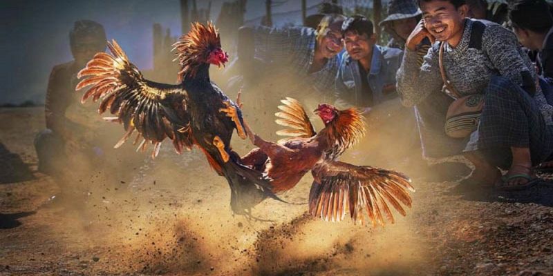 Banner www.thuvienmaycongcu.com.vn